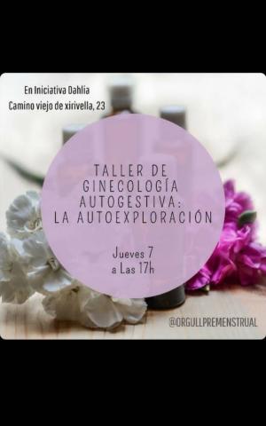 taller ginecologia autogestiva