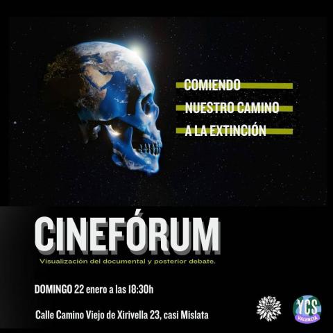 cineforum